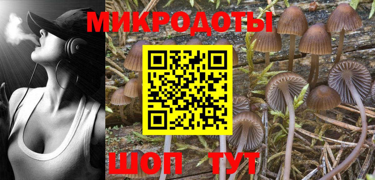 Псилоцибиновые грибы мицелий Каменск-Шахтинский