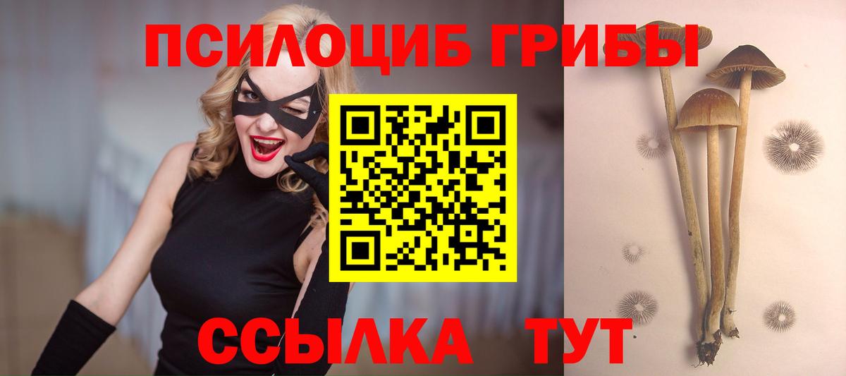 Каменск-Шахтинский  Псилоцибиновые грибы MAGIC MUSHROOMS  Вход с VPN  закладки  Галлюциногенные грибы Cubensis 